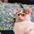 Sistahs Onthe Shelf's profile image