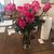 Sandy Shaw Riley's profile image