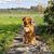 Cathy Megee Swanberg's profile image