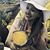 Inez Loredo's profile image