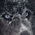 Daye Price's profile image