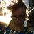 Cheryl A. Palmer's profile image