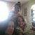 Linda Insalato's profile image