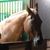 Judy Sims's profile image