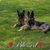 Karen Carvell-Welch's profile image