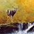 Eduardo Garcia Davila's profile image