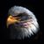 David Dodson's profile image