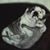 John Gallegos's profile image