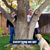 Cynthia Thompson Herrick's profile image