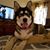 Lynn Cappelletty Beck's profile image