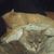Carrie Waldron's profile image