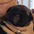 Nancy Jolley's profile image