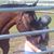 Sandra L. Owen's profile image