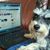 Rosco Wilson's profile image