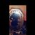 Angelica M Renteria's profile image