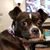 Susan D. Heeres's profile image