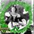 Elysia Brink's profile image