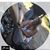 Lea Bishop's profile image
