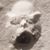 Linda Tammen Fogg's profile image