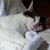 Adrienne Wong's profile image