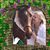 Linda Sklenka's profile image