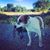 TD Brumley's profile image
