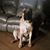 Brittni Hermacinski's profile image