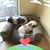 Carin Phillips's profile image
