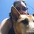 Lisa Woo Heidtman's profile image