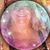 Christine Alteri Wadsworth's profile image
