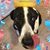 Jeneen Hulse-Amado's profile image