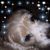 Tammy Durham's profile image