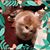 Kay Billigmeier's profile image
