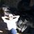 Zhiyuan Song's profile image