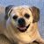 Dori Bissonnette's profile image