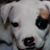 Karen Owens's profile image