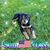 Shelly Dishaw's profile image