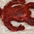 Blohm Ehard's profile image