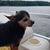 DeeDee Grogan Douglas's profile image