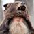 David Morales's profile image