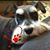 Darlene Bilder's profile image