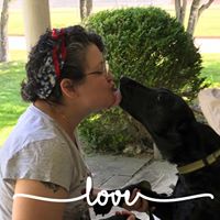 Tina Varga's profile image