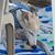 Linda S. Mayhew-Delgado's profile image