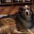 Lynn LaMere Krause's profile image