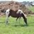 Lisa Baeder's profile image