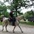 David Krewson's profile image