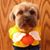 Tracie McGee Brandow's profile image