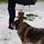 Diane Macabe-Stephens's profile image