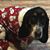 Colleen Shea Craighton's profile image