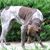 Jean Milner's profile image